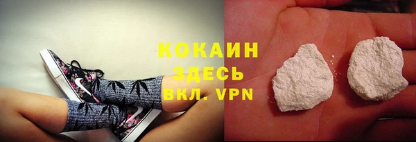 дурь Краснослободск