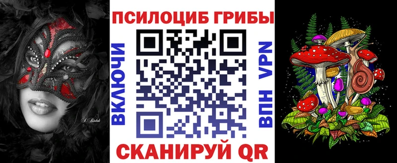 Псилоцибиновые грибы Psilocybine cubensis  Купить закладки  Выкса 